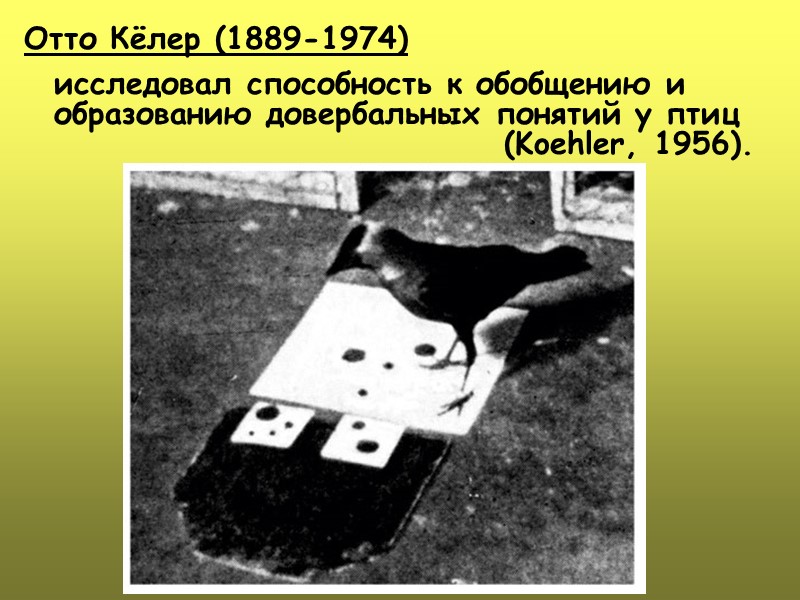 Отто Кёлер (1889-1974)   исследовал способность к обобщению и образованию довербальных понятий у